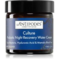 Antipodes Culture Probiotic Night Recovery Water Cream intense revitalising night cream with probiotics 60 ml