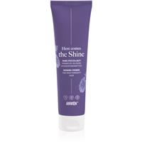 Anwen Here Comes The Shine Shining Primer For High Porosity Hair primer for hair 100 ml