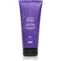 Anwen Wish me PEH Balanced Conditioner for Highly Porosity Hair conditioner for porous hair 200 ml