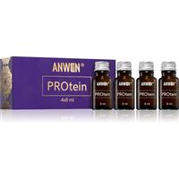 Anwen PROtein protein treatment in ampoules 4x8 ml