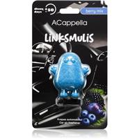 ACappella Berry Mix car air freshener 14 g