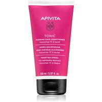 Apivita Holistic Hair Care Tonic Hair Conditioner toning conditioner for fine or thinning hair 150 ml