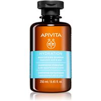 Apivita Hydration Moisturizing Shampoo moisturising shampoo for all hair types 250 ml