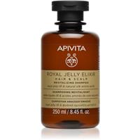 Apivita Royal Jelly Elixir Revitalizing Shampoo revitalising anti-ageing shampoo 250 ml