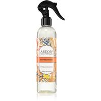 Areon Room Spray Apple & Cinnamon room spray 300 ml