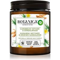 Air Wick Botanica Caribbean Vetiver & Sandalwood scented candle 205 g
