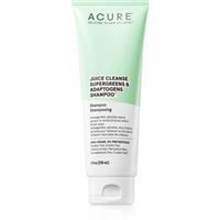 ACURE Juice Cleanse Supergreens & Adaptogens energising shampoo for stressed hair and scalp 236 ml