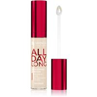 AA Wings of Color All Day Long Long Lasting Concealer liquid concealer shade 500 Ivory 6.2 g