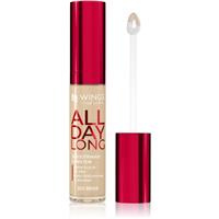 AA Wings of Color All Day Long Long Lasting Concealer liquid concealer shade 502 Beige 6.2 g