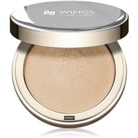 AA Wings of Color Glass Highlighter baked highlighter shade 02 8 g