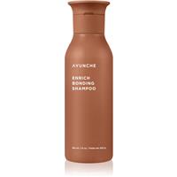 AYUNCHE Enrich Bonding Shampoo intensive regenerating shampoo for damaged hair 200 ml