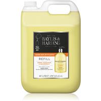 Baylis & Harding Sweet Mandarin & Grapefruit liquid hand soap refill Refill 2000 ml