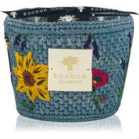 Baobab Collection Vony Tanteli scented candle 500 g