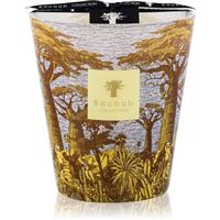 Baobab Collection Sacred Trees Cocody scented candle 16 cm