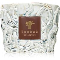 Baobab Collection Brame Sylvanus scented candle 500 g