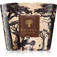 Baobab Collection Sacred Trees Mankono scented candle 500 g