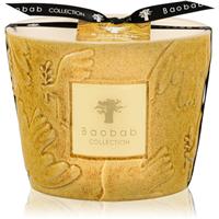 Baobab Collection Paz Dove scented candle 500 g