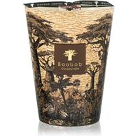 Baobab Collection Sacred Trees Mankono scented candle 3000 g