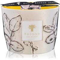 Baobab Collection Folia Calanque scented candle 10 cm