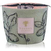 Baobab Collection Folia Maquis scented candle 10 cm