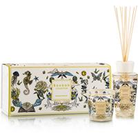Baobab Collection My First Baobab Tomorrowland gift set