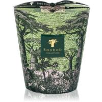 Baobab Collection Sacred Trees Touba scented candle 1100 g