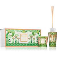 Baobab Collection My First Baobab Tomorrowland gift set