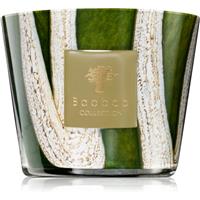 Baobab Collection Woods Sherwood scented candle 500 g