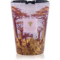 Baobab Collection Sacred Trees Massasso scented candle 24 cm