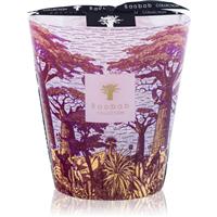 Baobab Collection Sacred Trees Massasso scented candle 16 cm