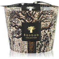 Baobab Collection Sacred Trees Morondo scented candle 10 cm