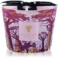Baobab Collection Sacred Trees Massasso scented candle 10 cm