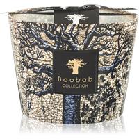 Baobab Collection Sacred Trees Seguela scented candle 10 cm