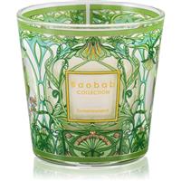 Baobab Collection My First Baobab Tomorrowland scented candle 8 cm