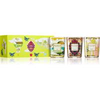 Baobab Collection My First Baobab Green gift set 1 pc