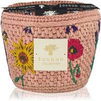 Baobab Collection Vony Kopelika scented candle 500 g