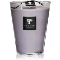 Baobab Collection All Seasons White Rhino scented candle 24 cm