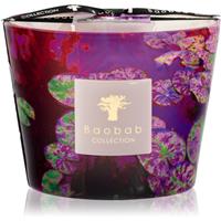 Baobab Collection Arty Flowers Water Lily scented candle 500 g