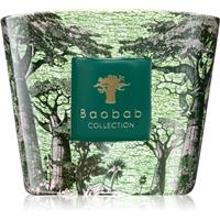 Baobab Collection Sacred Trees Touba scented candle 500 g