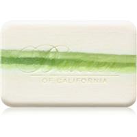 Baxter of California Lime & Pomegranate creamy shower soap 198 g