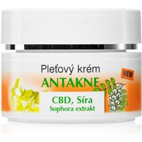 Bione Cosmetics Antakne face cream with sulphur 51 ml