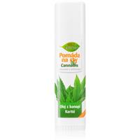 Bione Cosmetics Cannabis pomade for lips 17 ml