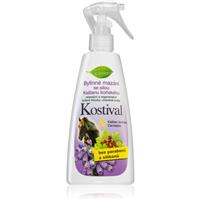 Bione Cosmetics Cannabis Kostival hemp lubricant for muscles and joints 260 ml