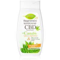 Bione Cosmetics Cannabis CBD regenerating conditioner for hair 260 ml