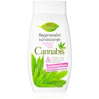 Bione Cosmetics Cannabis regenerating conditioner 260 ml