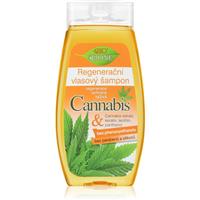 Bione Cosmetics Cannabis regenerating shampoo 260 ml