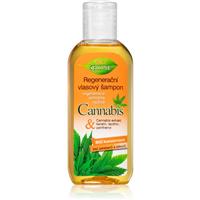 Bione Cosmetics Cannabis regenerating shampoo 80 ml