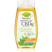 Bione Cosmetics Cannabis CBD relaxing shower gel with CBD 260 ml