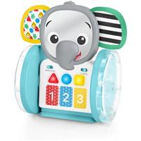 Baby Einstein Chase & Tap Earl Interactive Crawling Toy musical toy 6 m+ 1 pc
