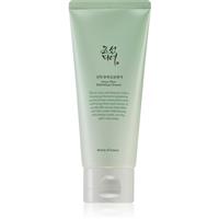 Beauty Of Joseon Green Plum Refreshing Cleanser gentle exfoliating foaming cream with moisturising effect 100 ml